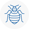 Bed Bug Extermination In Abbots Langley